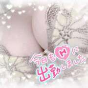 ヒメ日記 2026/03/26 10:27 投稿 ゆき 福島郡山ちゃんこ