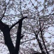 ヒメ日記 2026/03/28 19:42 投稿 心和(ここな) PLUS梅田店