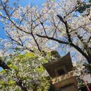 ヒメ日記 2026/04/06 12:22 投稿 心和(ここな) PLUS梅田店