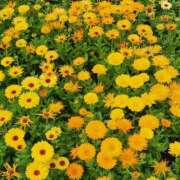ヒメ日記 2026/05/22 16:42 投稿 心和(ここな) PLUS梅田店