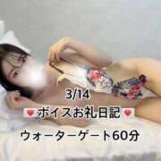 ヒメ日記 2026/03/15 06:18 投稿 ☆こねる☆ ◆プラウディア◆AAA級素人娘在籍店