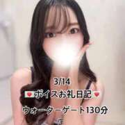 ヒメ日記 2026/03/15 09:08 投稿 ☆こねる☆ ◆プラウディア◆AAA級素人娘在籍店