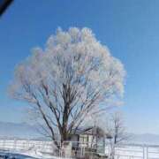 ヒメ日記 2026/02/21 10:20 投稿 ちなつ ミセス クリエーション