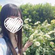 ヒメ日記 2026/05/30 07:25 投稿 猫宮つばめ 水戸ソープ アイドル彼女