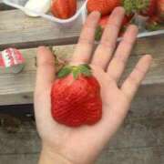 ヒメ日記 2026/02/17 17:05 投稿 かほ ドMなバニーちゃん すすきの店