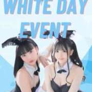 ヒメ日記 2026/03/15 10:46 投稿 かほ ドMなバニーちゃん すすきの店