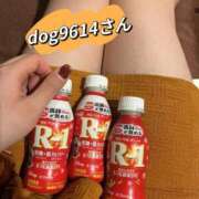 ヒメ日記 2026/02/20 21:16 投稿 さえ ニュー不夜城