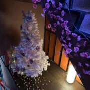 ヒメ日記 2026/03/02 07:09 投稿 さえ ニュー不夜城