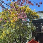 ヒメ日記 2026/03/07 21:46 投稿 さえ ニュー不夜城