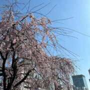 ヒメ日記 2026/03/22 18:16 投稿 さえ ニュー不夜城