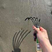 ヒメ日記 2026/03/30 12:16 投稿 さえ ニュー不夜城