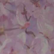 ヒメ日記 2026/04/18 10:16 投稿 さえ ニュー不夜城