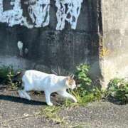 ヒメ日記 2026/09/30 20:21 投稿 さえ ニュー不夜城