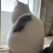 ヒメ日記 2026/03/02 21:50 投稿 てる＠未経験 スピードエコ天王寺店