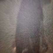 ヒメ日記 2026/03/23 21:03 投稿 片岡　らん OLセレクション宇都宮店