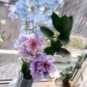 ヒメ日記 2026/02/14 10:56 投稿 ましろ 新潟デリヘル倶楽部