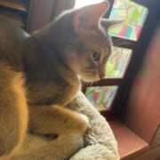 ヒメ日記 2026/02/15 16:06 投稿 ましろ 新潟デリヘル倶楽部