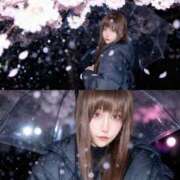 ヒメ日記 2026/03/10 00:54 投稿 速水　よる OLセレクション宇都宮店