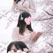 ヒメ日記 2026/03/18 17:18 投稿 さとみ 奥様メモリアル