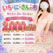 さとみ いち・に・さんの市🐈💕9月限定イベント開催中〜っ💕✨ 奥様メモリアル