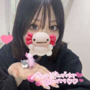 ヒメ日記 2026/02/17 05:12 投稿 ちひろ Flower（フラワー）