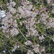 ヒメ日記 2026/04/09 06:32 投稿 城田ありさ★フレッシュな18歳♪ PLAY