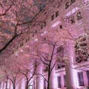 ヒメ日記 2026/03/17 23:01 投稿 内田しずか★透明感抜群！美女！ PLAY