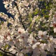 ヒメ日記 2026/04/10 22:42 投稿 内田しずか★透明感抜群！美女！ PLAY