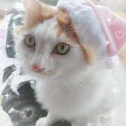 ヒメ日記 2026/02/05 17:15 投稿 生駒るきあ★圧倒的美人！天下無双 PLAY