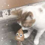 ヒメ日記 2026/02/05 22:43 投稿 生駒るきあ★圧倒的美人！天下無双 PLAY