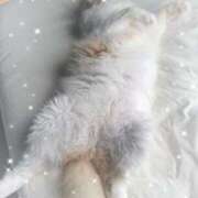 ヒメ日記 2026/02/06 05:58 投稿 生駒るきあ★圧倒的美人！天下無双 PLAY