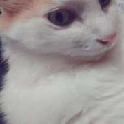 生駒るきあ★圧倒的美人！天下無双 美味しい～😋 PLAY