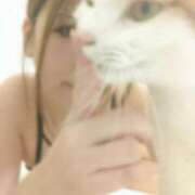 ヒメ日記 2026/02/20 08:29 投稿 生駒るきあ★圧倒的美人！天下無双 PLAY