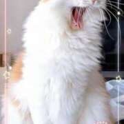 ヒメ日記 2026/02/22 08:37 投稿 生駒るきあ★圧倒的美人！天下無双 PLAY