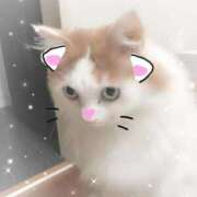 ヒメ日記 2026/02/22 12:04 投稿 生駒るきあ★圧倒的美人！天下無双 PLAY