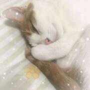 ヒメ日記 2026/02/24 07:08 投稿 生駒るきあ★圧倒的美人！天下無双 PLAY