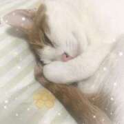 ヒメ日記 2026/02/26 13:19 投稿 生駒るきあ★圧倒的美人！天下無双 PLAY