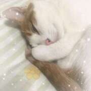 ヒメ日記 2026/03/06 05:26 投稿 生駒るきあ★圧倒的美人！天下無双 PLAY