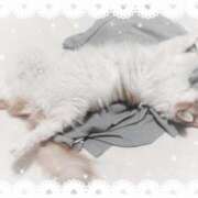 ヒメ日記 2026/03/08 00:22 投稿 生駒るきあ★圧倒的美人！天下無双 PLAY