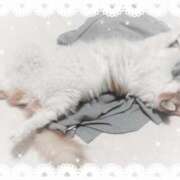 ヒメ日記 2026/03/27 09:37 投稿 生駒るきあ★圧倒的美人！天下無双 PLAY