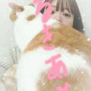 ヒメ日記 2026/04/02 09:31 投稿 生駒るきあ★圧倒的美人！天下無双 PLAY