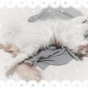 ヒメ日記 2026/04/17 03:37 投稿 生駒るきあ★圧倒的美人！天下無双 PLAY