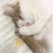 ヒメ日記 2026/04/17 10:45 投稿 生駒るきあ★圧倒的美人！天下無双 PLAY