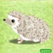 ヒメ日記 2026/10/12 18:50 投稿 生駒るきあ★圧倒的美人！天下無双 PLAY