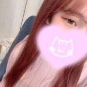 ヒメ日記 2026/02/19 14:50 投稿 くるみ 奥様特急新潟店