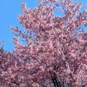 ヒメ日記 2026/03/12 10:53 投稿 やよい 熟女の風俗最終章 国分寺店