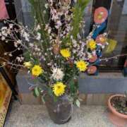 ヒメ日記 2026/02/19 14:10 投稿 やよい 熟女の風俗最終章 立川店