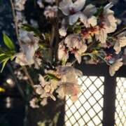 ヒメ日記 2026/04/01 08:25 投稿 うみか バイオレンス