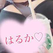 ヒメ日記 2026/03/19 19:39 投稿 はるか 西船人妻花壇