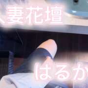 ヒメ日記 2026/04/09 20:05 投稿 はるか 西船人妻花壇